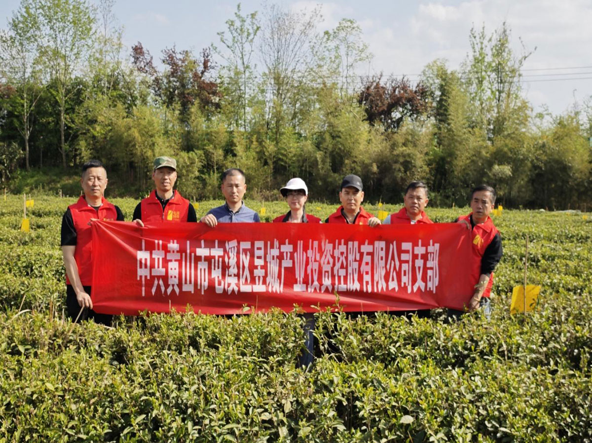 昱城產(chǎn)投公司黨支部開展“茶香潤初心，黨旗映茶園”主題黨日活動