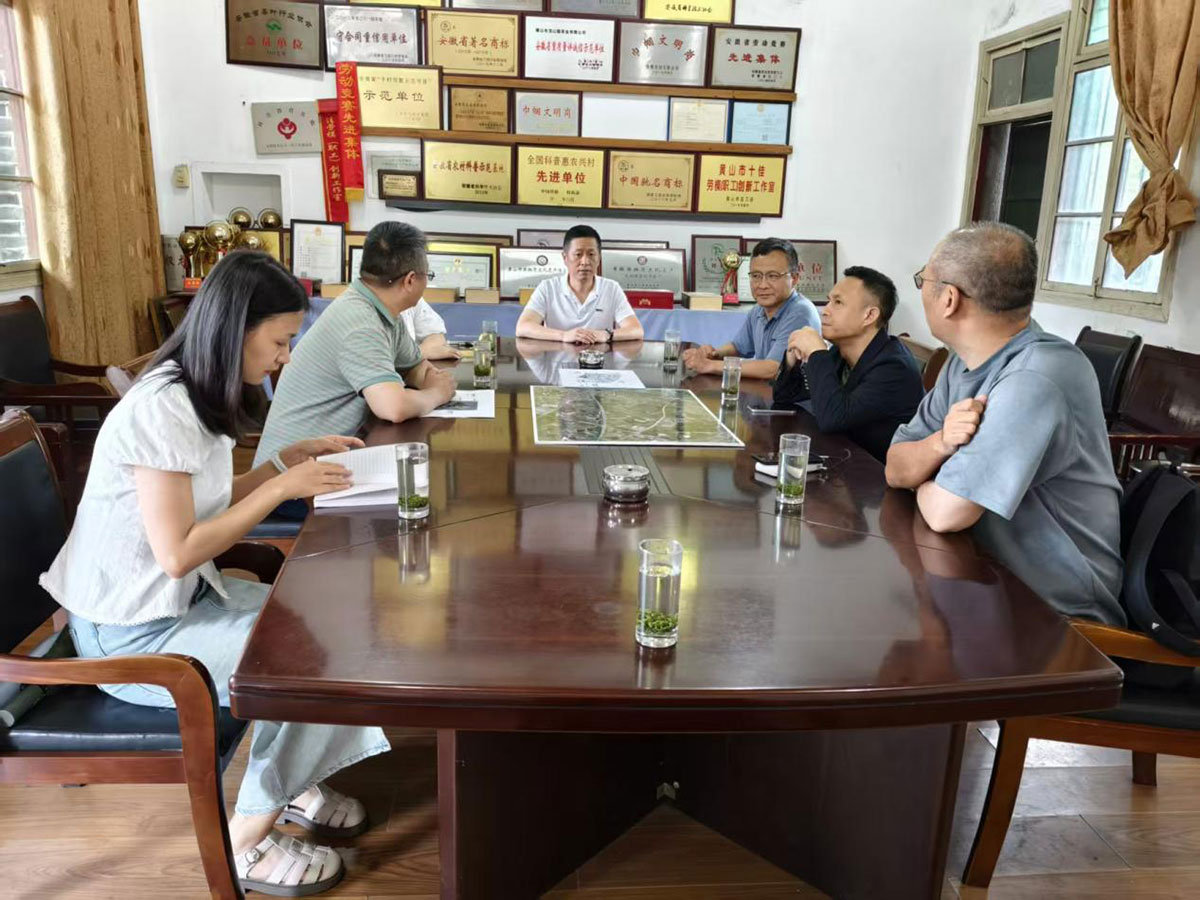 江蘇外聯(lián)采考察團(tuán)到實驗茶場考察，共商茶產(chǎn)業(yè)合作新藍(lán)圖