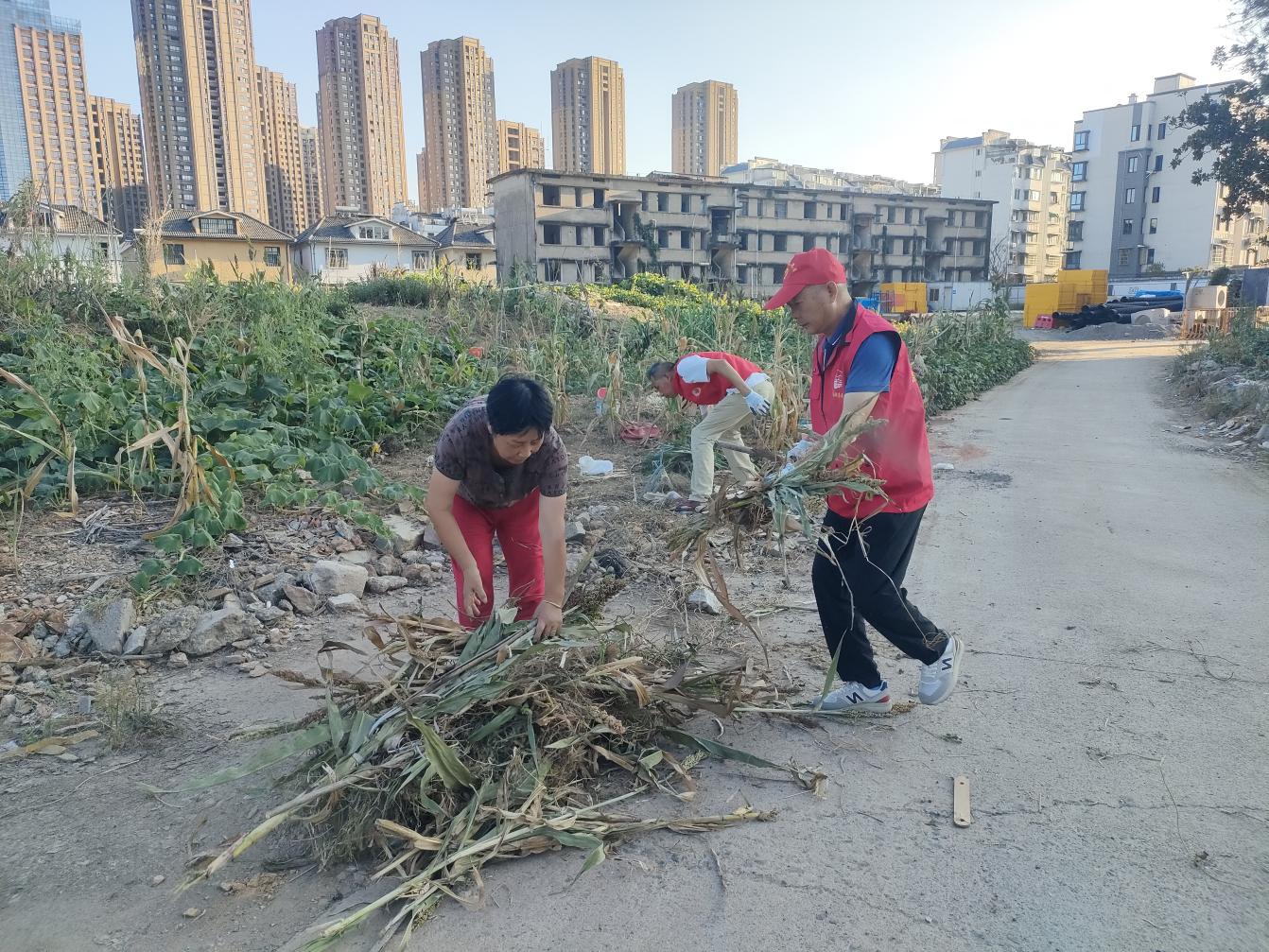 黨員進社區(qū)：守護綠色家園，彰顯國企擔當